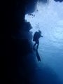 Most dives in Palau are wall diving... 