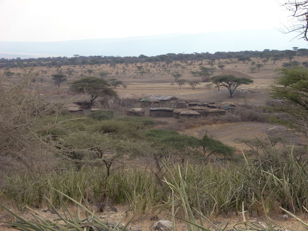 Masai village near Ngorongoro