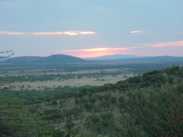 view from my room at the Serena Serengeti Lodge