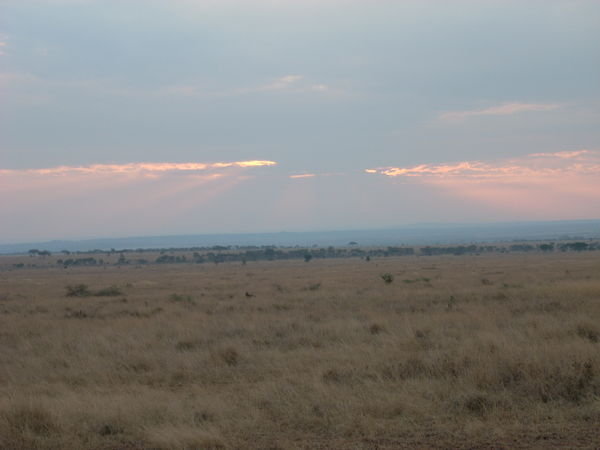 early morning in Serengeti...serenity...