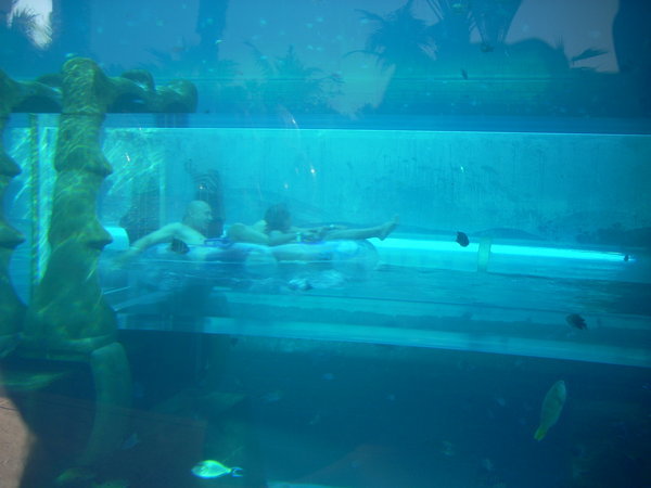 Aquaventure at the Atlantis...