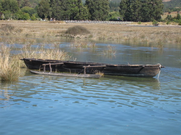 a moari boat