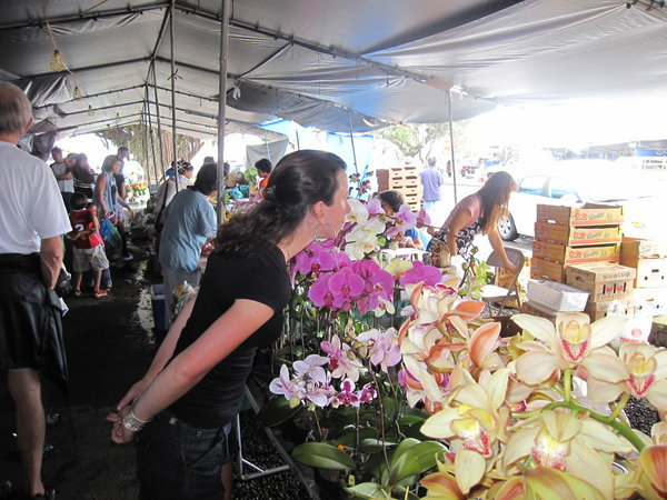 Farmer's market in Hilo