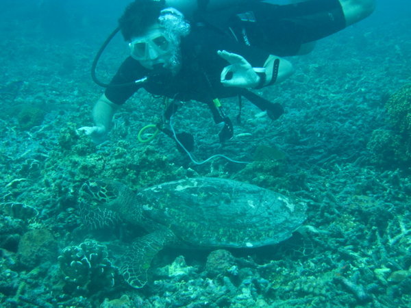 the turtle...and me...not that original...