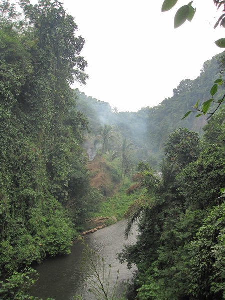 Ayung river valley