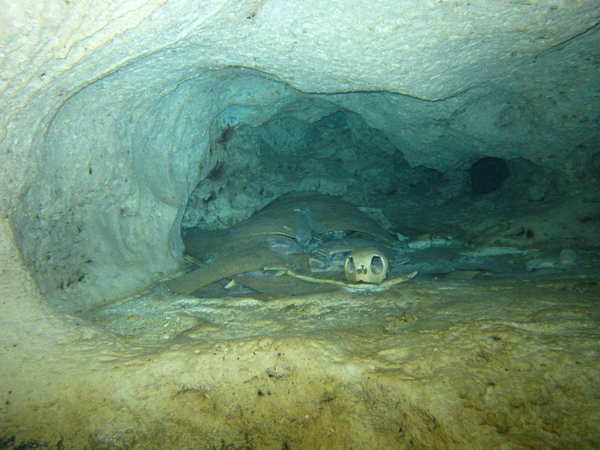 turtle cave!