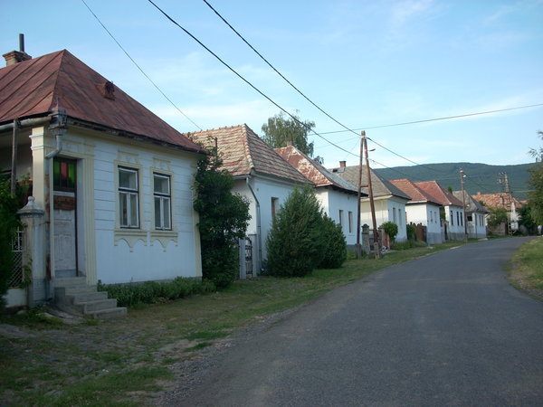quiet street in the countryside