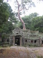 Ta Prohm, back of the temple