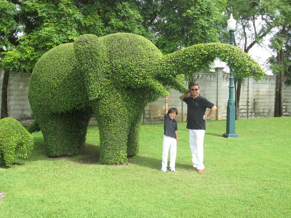 elephants...and funny us...