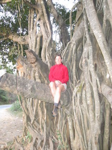 Mari on her Banyan Tree