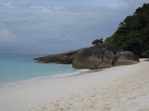 Island 4, Similans, one of the best I ever saw in Thailand!