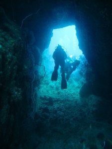 swim through...one more of many on our last 2 dives at Elephant Head Rock and Deep 6!