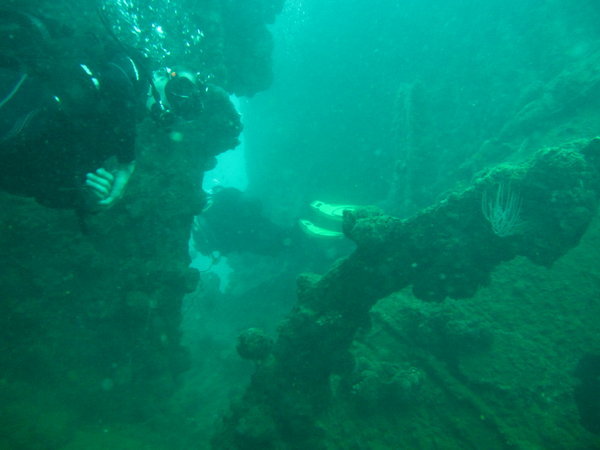 wreck diving, Le Faon...huge!