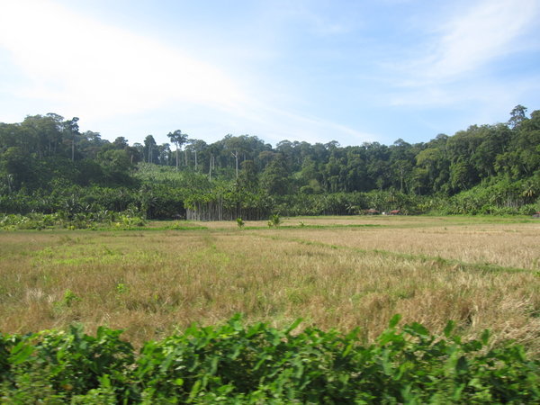 Havelock countryside