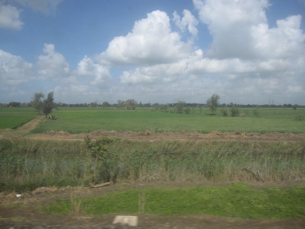 Nile delta countryside....green winters