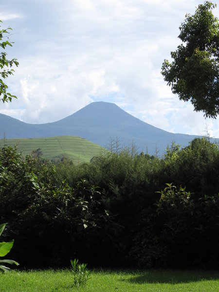 View of Mt Mgahinga from Traveller Rest lodge