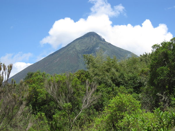 Mt Muhavura