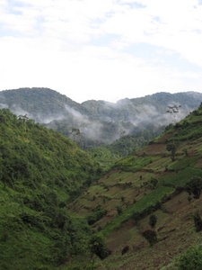 trekking on the way to Bwindi Impenetrable forest