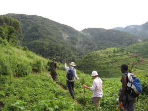 starting by a little trek before tracking the gorillas
