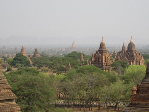 more than 3000 temples in Bagan!