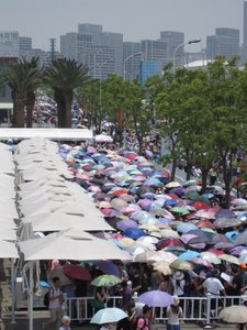 Umbrellas, Saudi Arabia queue