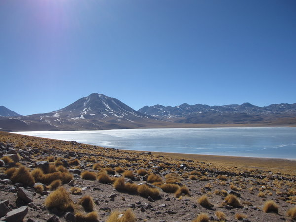Laguna, 4300 meters altitude