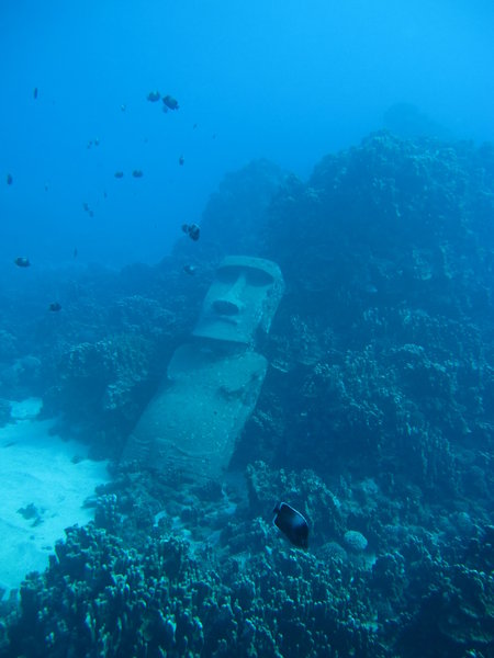 Diving Easter Island...