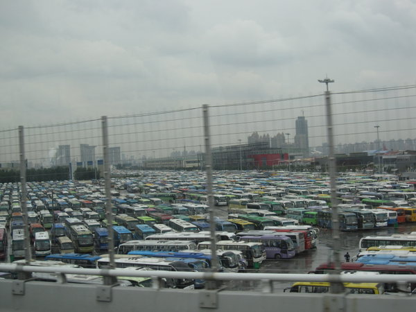 Bus carpark at Expo 2010...pretty impressive 