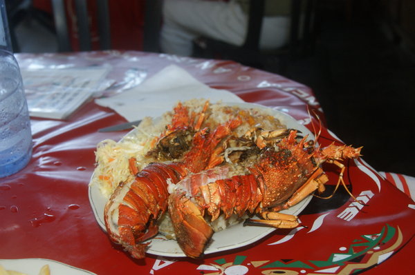 crayfish...paradise...at 6usd a plate!