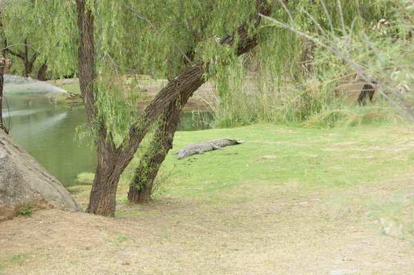 crocs on hole 13th...not a good idea to pick up your ball or play here!