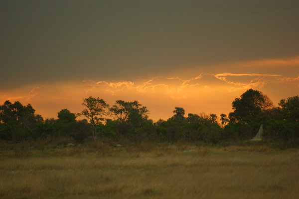 Okavango sunsets...just simply amazing...