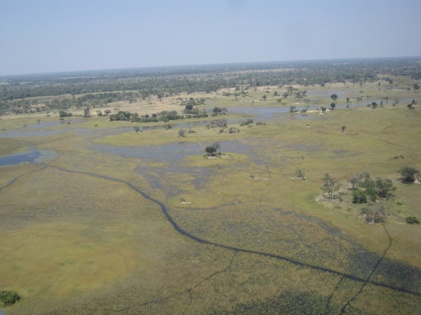 Okavango from the sky