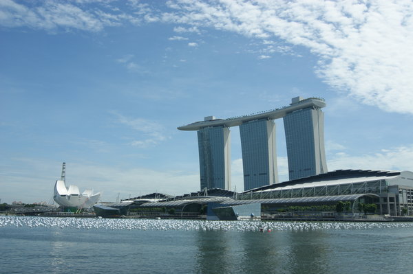 hopefully this will not be the future face of Singapore
