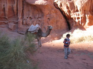 camel boy!