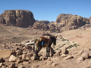 Petra Valley