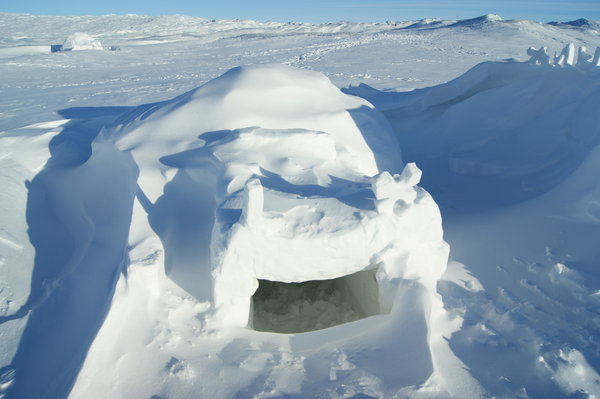 igloo on the icecap