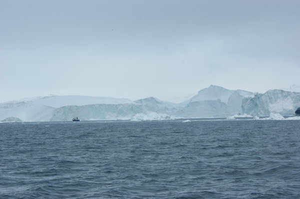 more icebergs