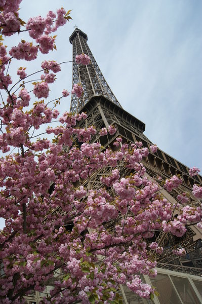 Eiffel Tower, spring time....