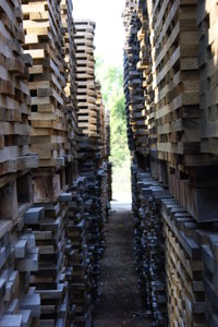 Thousands of cubic meters of troncais and limousins wood