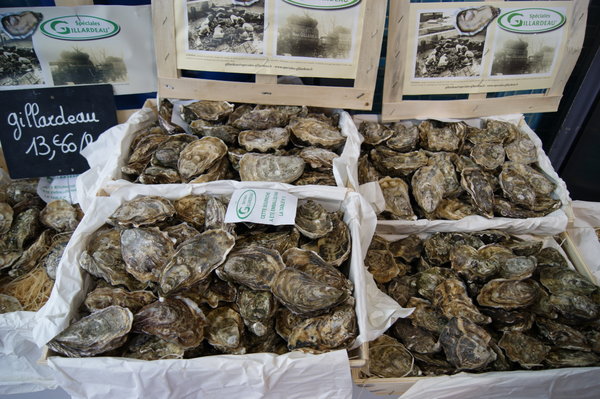 oysters