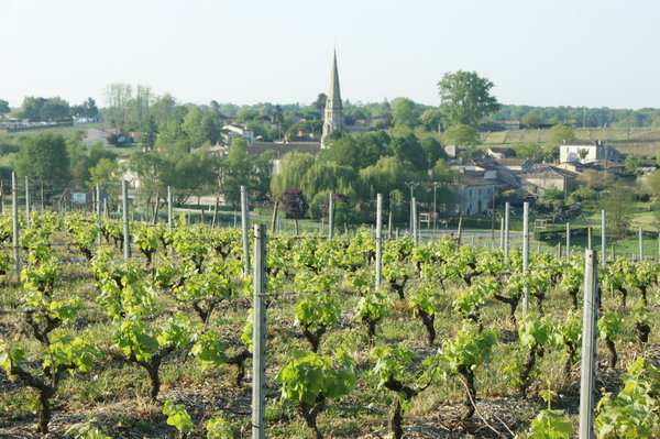 The village of Sauternes