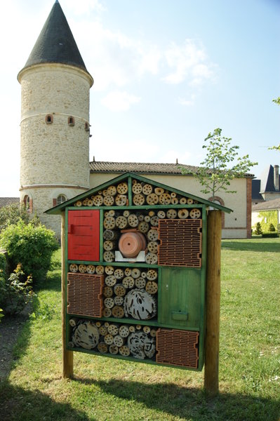 Insect house...organic Guiraud