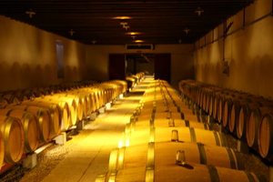 Longest Chais in Sauternes, used to be the stables of yquem!