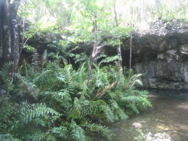 Dream Gate Cenote