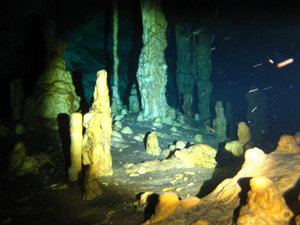 The ultimate absolute in Cenote diving!