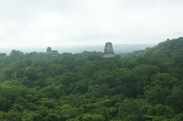 View from top of Temple IV