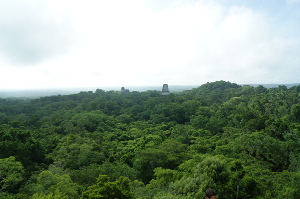 Tikal...the jungle...the temples...