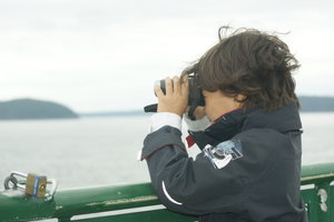 Searching for whales...we didn't find them...
