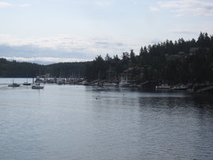 Friday Harbor...it was not Friday!