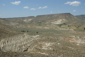 Fossils bed of John Day